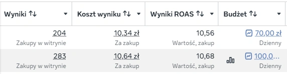 Oryginalny screenshot wyników: Sklep internetowy - kampanie sprzedażowe Meta Ads